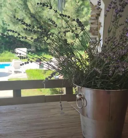 Casa de Férias дивият божур