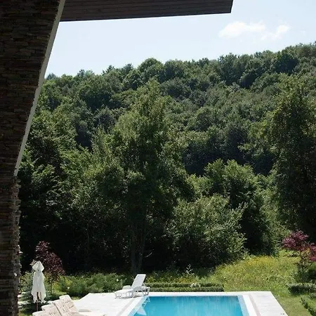 дивият божур Holiday home Stanyantsi