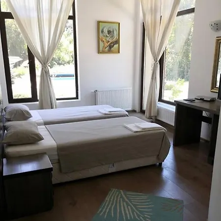 Holiday home дивият божур *