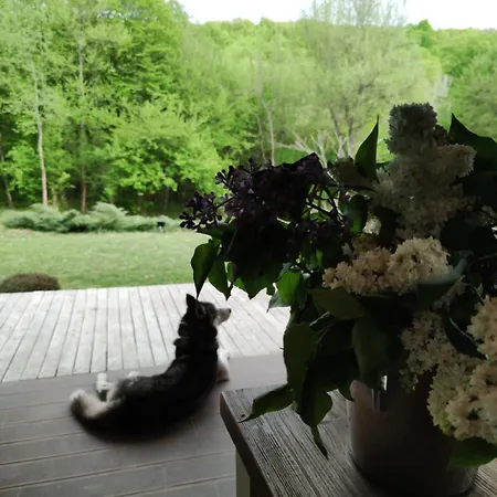 Holiday home дивият божур *