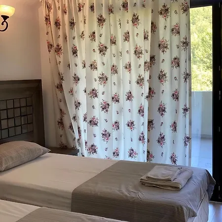 дивият божур Nyaraló *