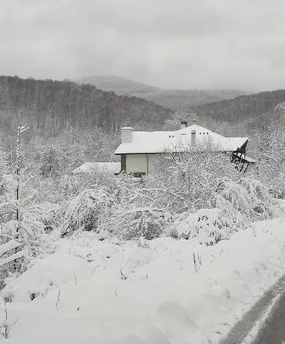 дивият божур 펜션