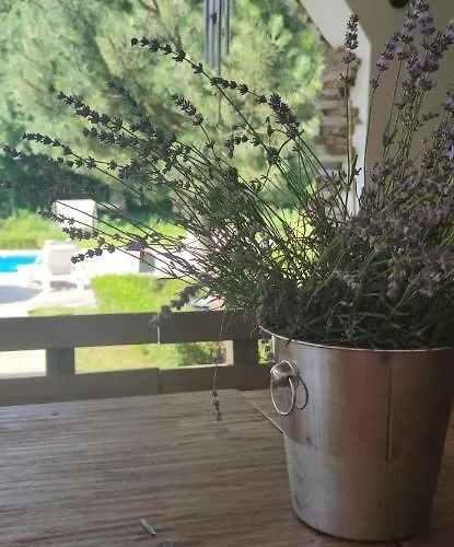 펜션 дивият божур