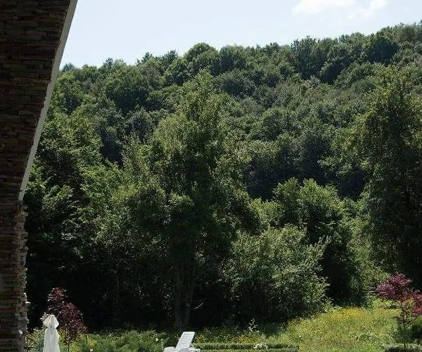 дивият божур 펜션 Stanyantsi