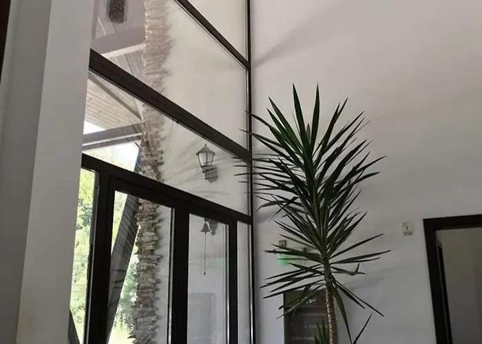 дивият божур 펜션